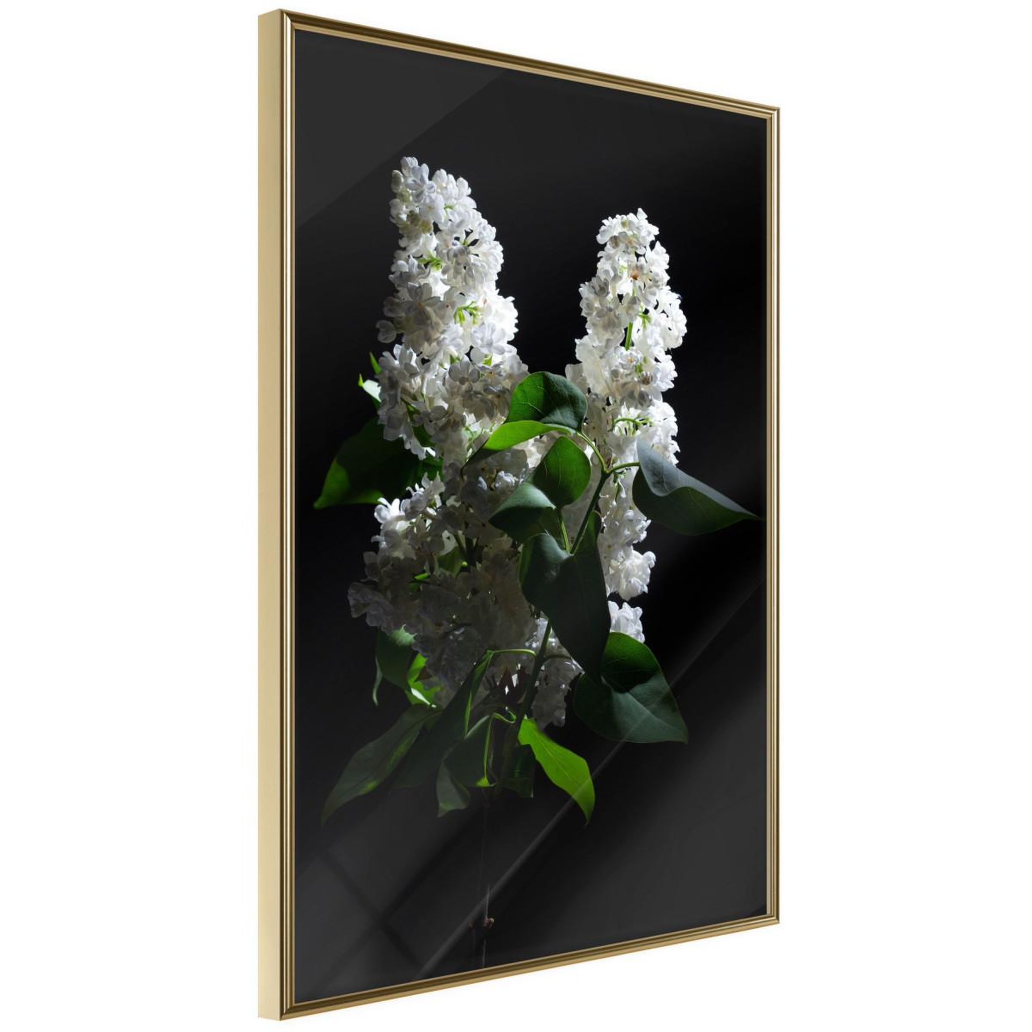 Paris Prix Affiche murale encadrée  white lilac