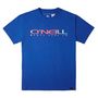 Voir la diapositive 1 : O'NEILL T shirt  Garçon O'Neill Sanborn