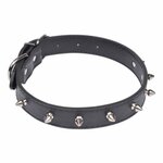 Paris Prix Collier Fantaisie pour Chien  Pics  55cm Noir