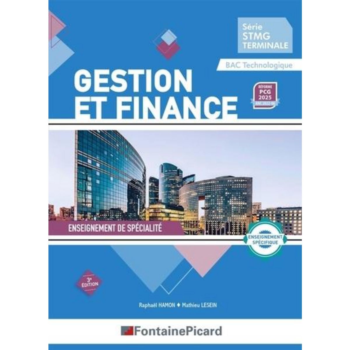 GESTION ET FINANCE TLE STMG BAC TECHNOLOGIQUE. ENSEIGNEMENT DE SPECIALITE, EDITION 2025, Hamon Raphaël