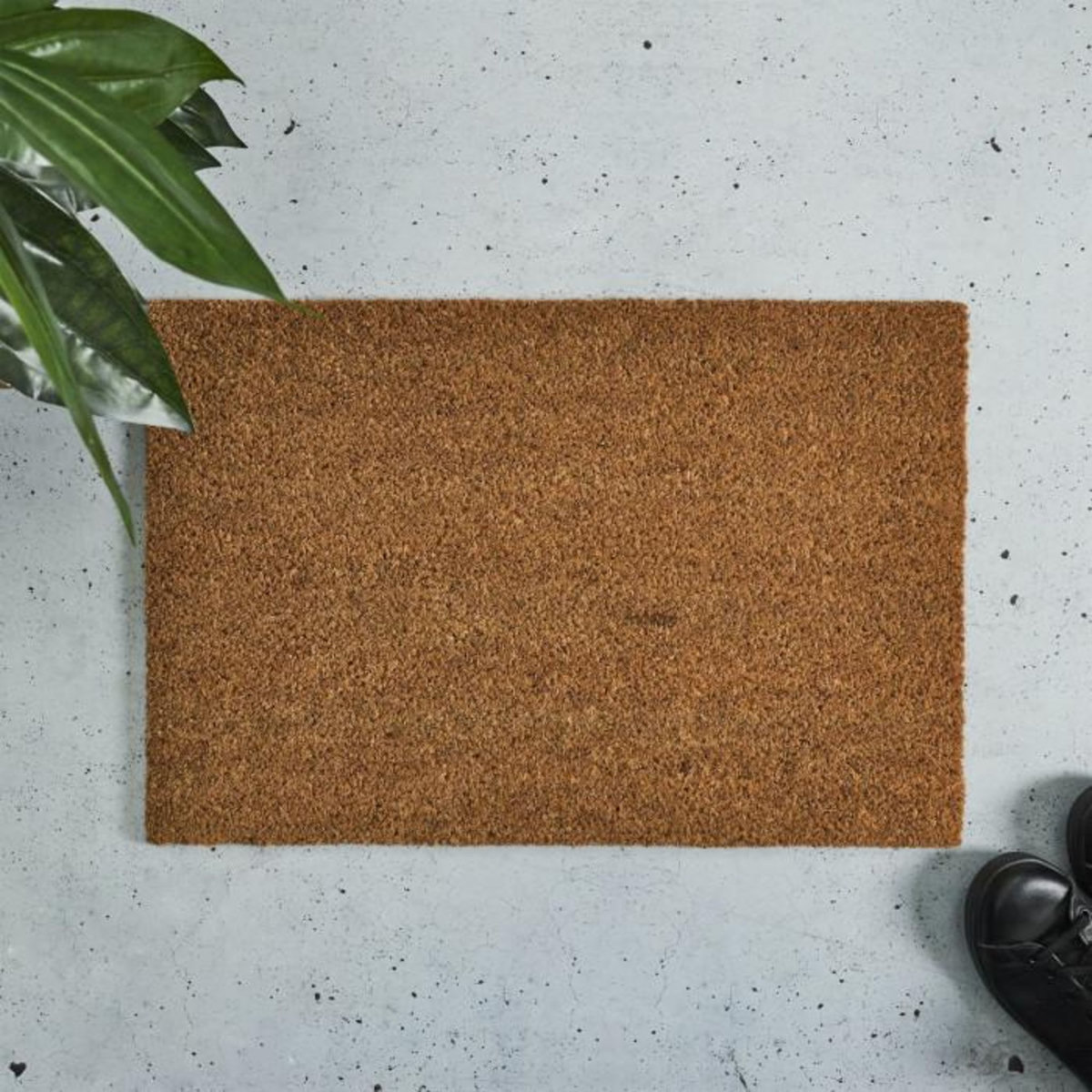 Paris Prix Paillasson Brossant  Coco  40x60cm Marron