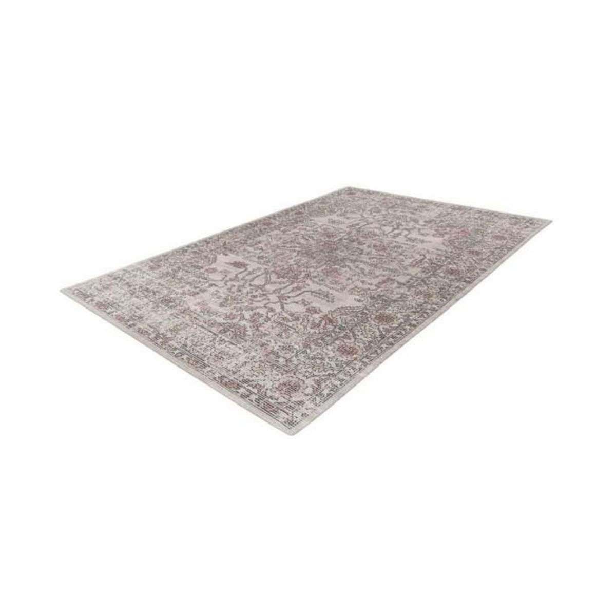Paris Prix Tapis Tissé Motif Vintage Délavé  Percy  Beige