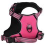 Voir la diapositive 2 : VIDAXL Harnais pour chien avec laisse et collier reglables rose XL