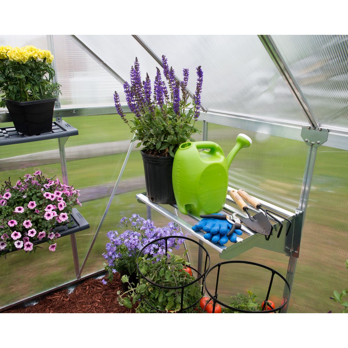Canopia by PALRAM Etagère pour serre - résistance poids lourd