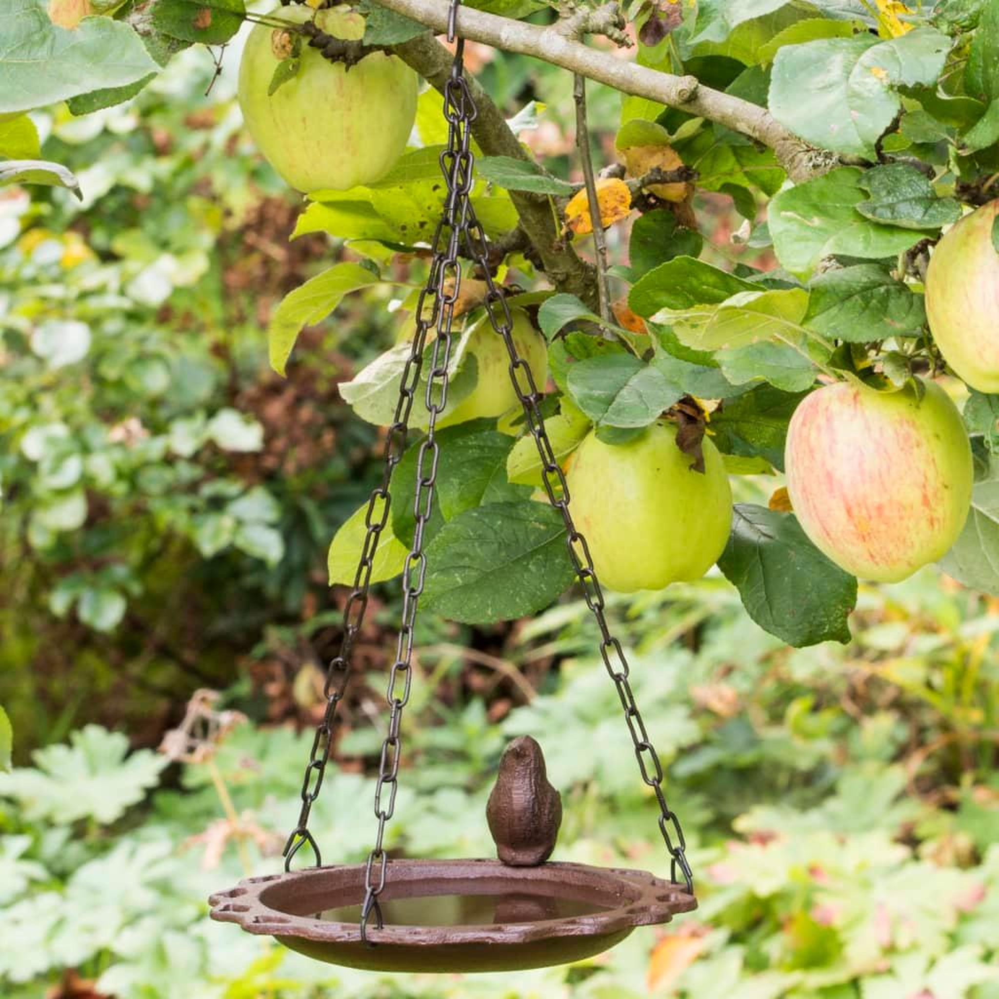 Voir la diapositive 1 : HI HI Baignoire suspendue pour oiseaux 20,5 cm Marron