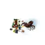 LEGO Harry Potter 75950 - Le repaire d'Aragog