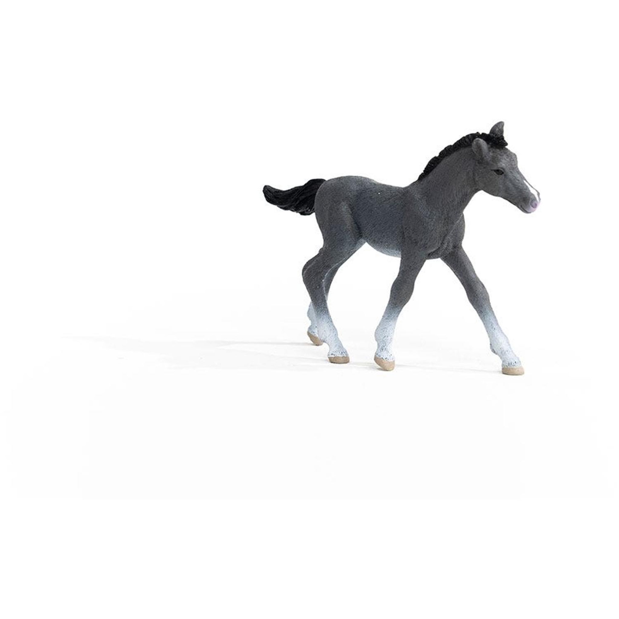 Voir la diapositive 2 : Schleich Horse Club Poulain Trakehnen