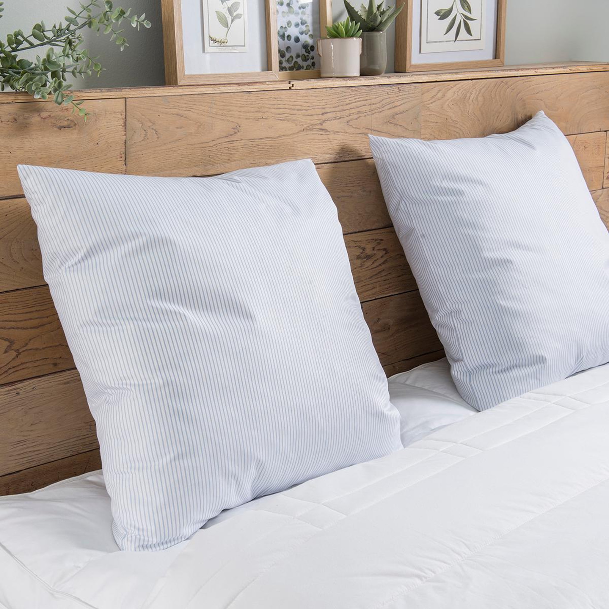 Voir la diapositive 1 : DUNLOPILLO Oreiller Plumes Ferme - 100% plumettes