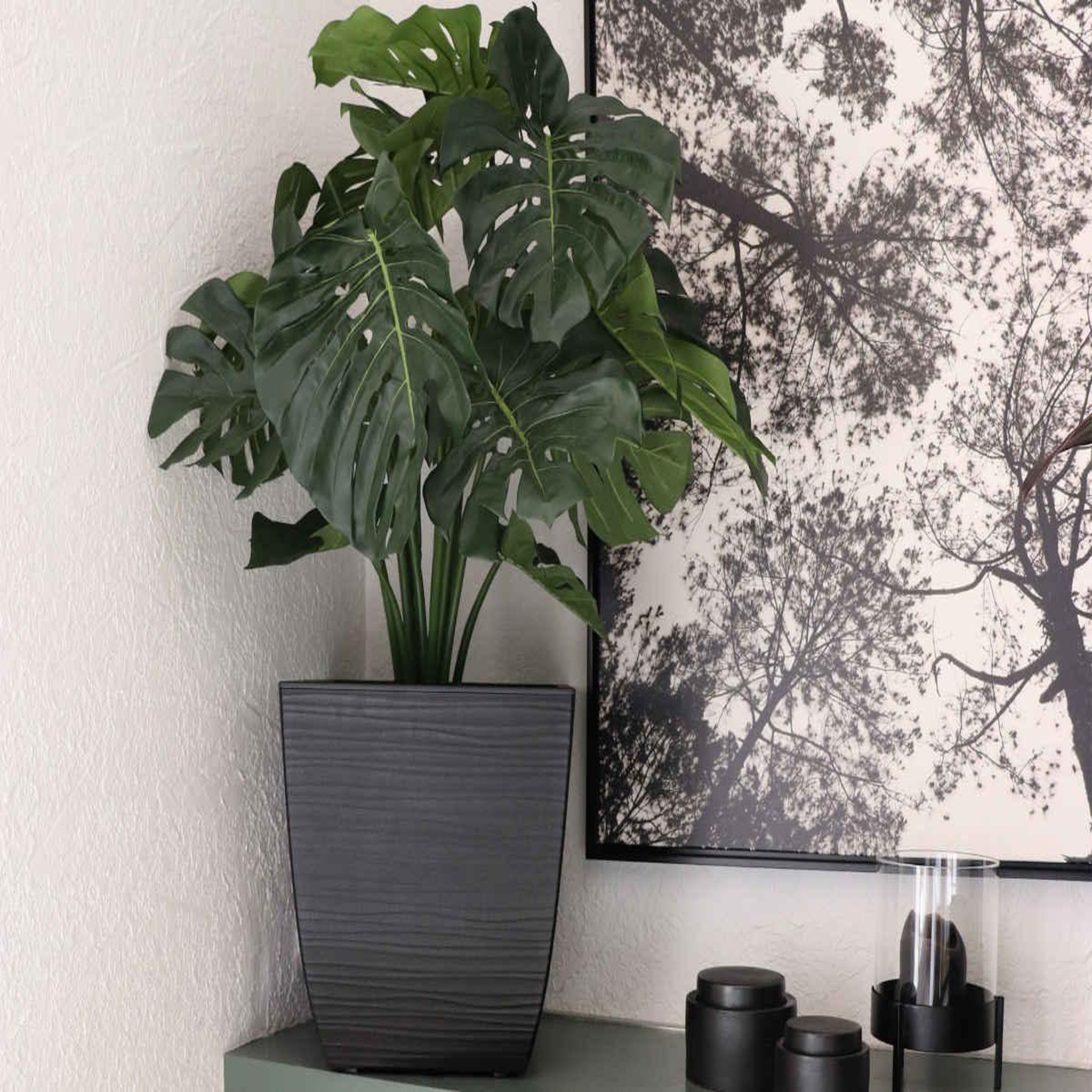 Voir la diapositive 3 : Eda Pot de fleur Stone Diva carré avec bac amovible 43,5 x 44,2 cm - Eda
