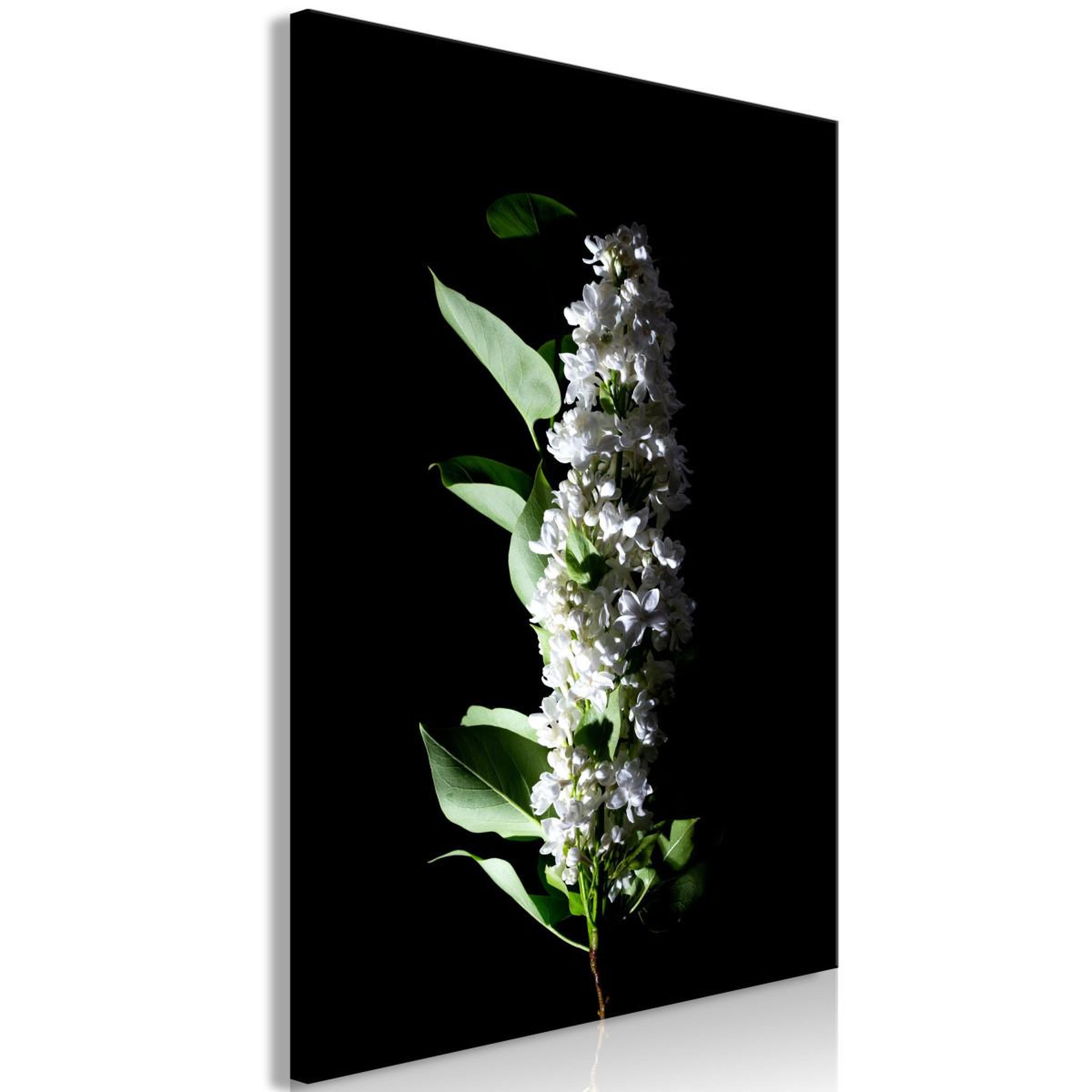 Paris Prix Tableau imprimé  white lilacs. Coloris disponibles : Multicolore