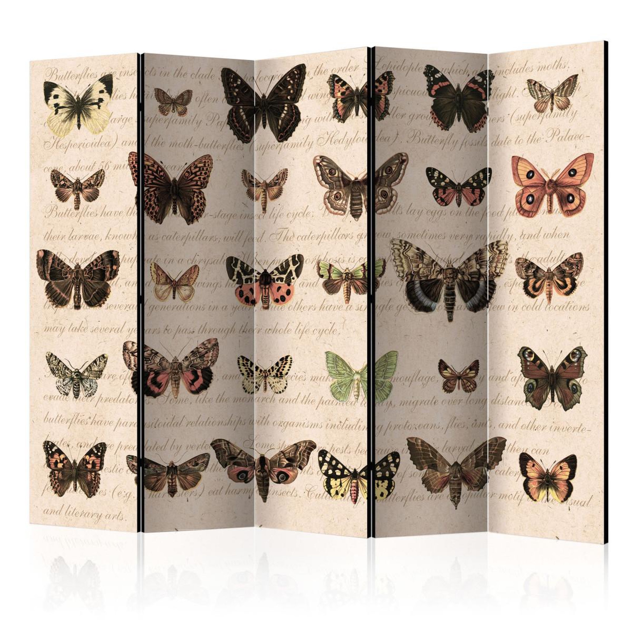 Paris Prix Paravent 5 volets  retro style : butterflies  172x225cm