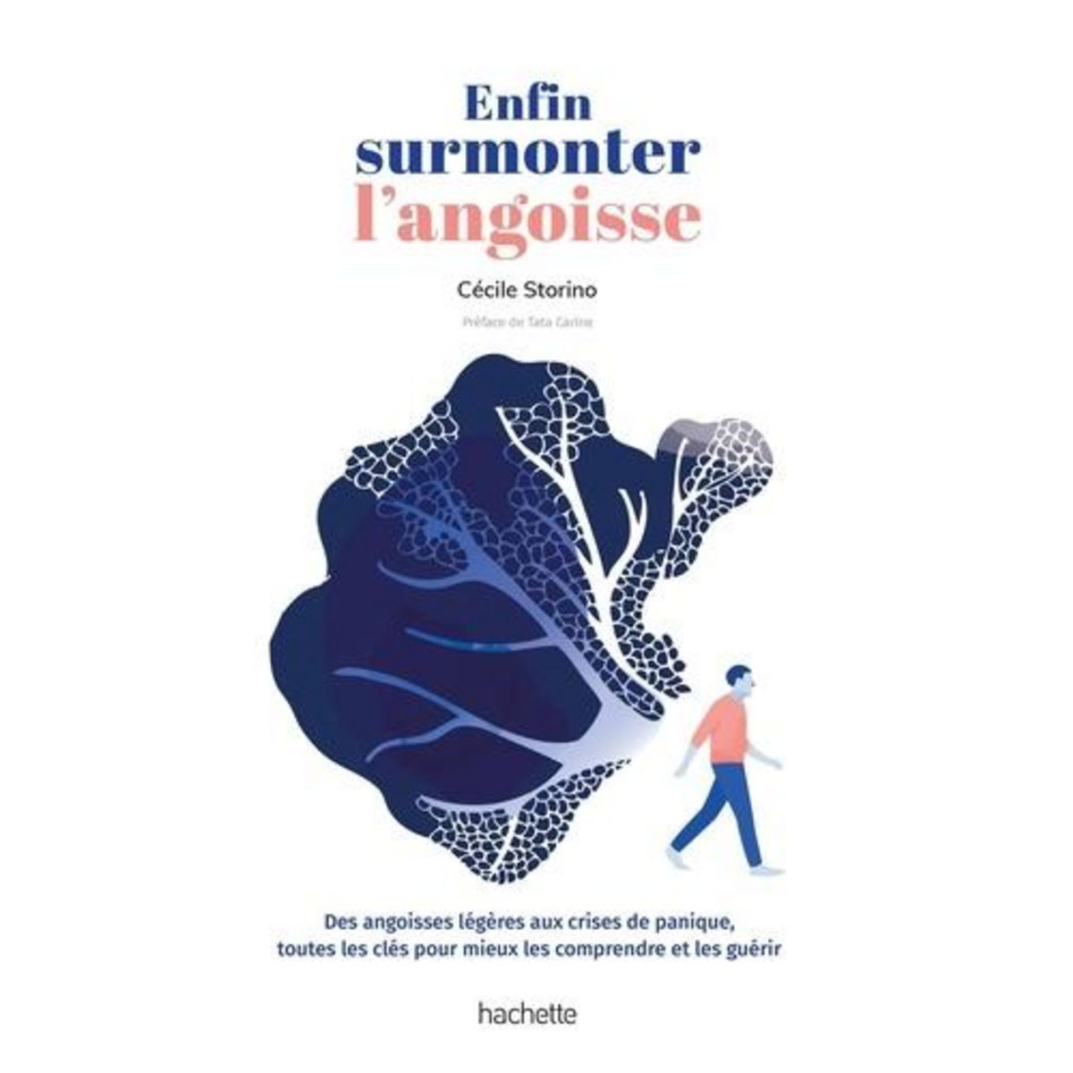 ENFIN SURMONTER L'ANGOISSE. DES ANGOISSES LEGERES AUX CRISES DE PANIQUE, TOUTES LES CLES POUR MIEUX LES COMPRENDRE ET LES GUERIR, Storino Cécile