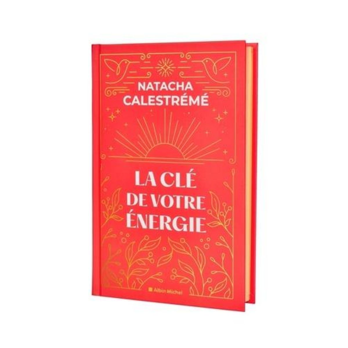 LA CLE DE VOTRE ENERGIE. 22 PROTOCOLES POUR VOUS LIBERER EMOTIONNELLEMENT. AVEC 52 CARTES, EDITION COLLECTOR, Calestrémé Natacha