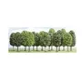 Busch-Jaeger Modélisme : Végétation - Assortiment de 12 arbres feuillus