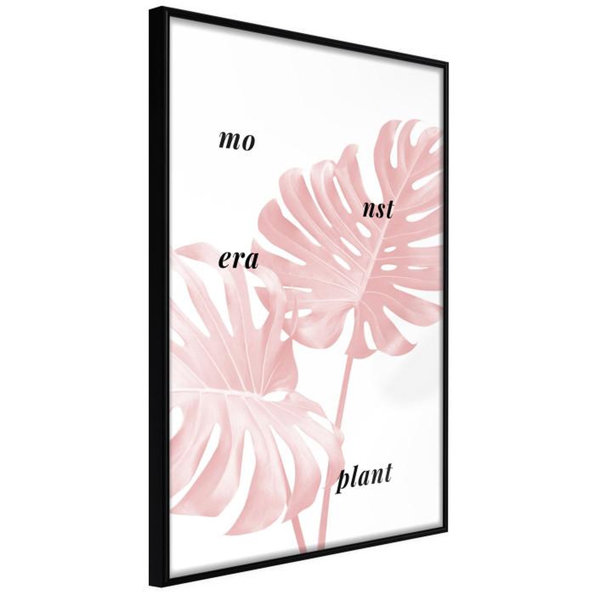 Paris Prix Affiche Murale Encadrée  Pale Pink Monstera. Coloris disponibles : Jaune, Noir