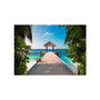 Voir la diapositive 2 : Paris Prix Papier Peint  Hawaiian Dream
