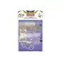 POKEMON Kit de Collection Pokémon Épée et Bouclier Portfolio + Booster