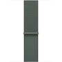 Voir la diapositive 1 : APPLE Bracelet 46mm boucle sport Sauge