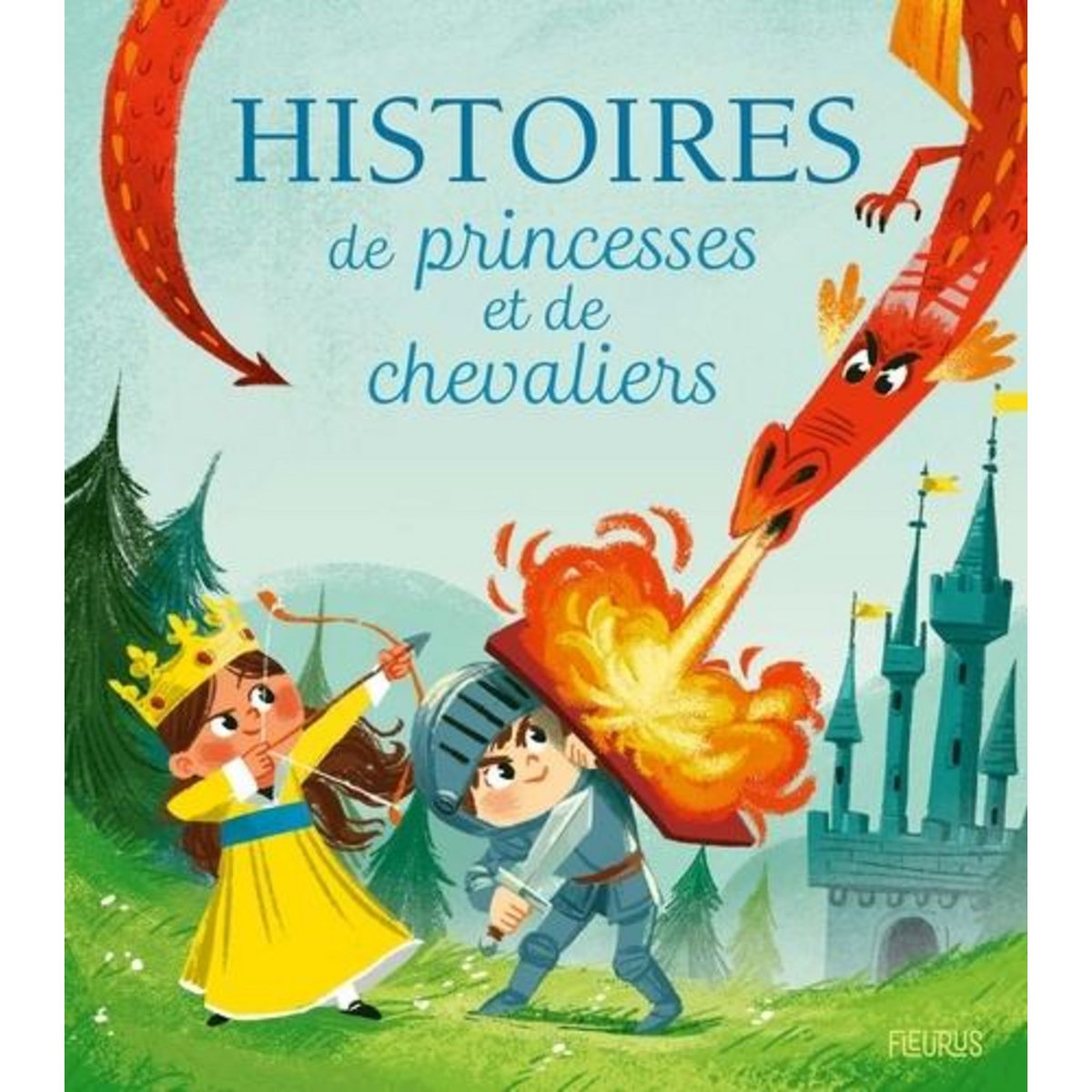 HISTOIRES DE PRINCESSES ET DE CHEVALIERS, Lépine Nicolas