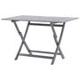 Voir la diapositive 4 : VIDAXL Table de jardin pliable 120x70x75 cm Bois d'acacia massif