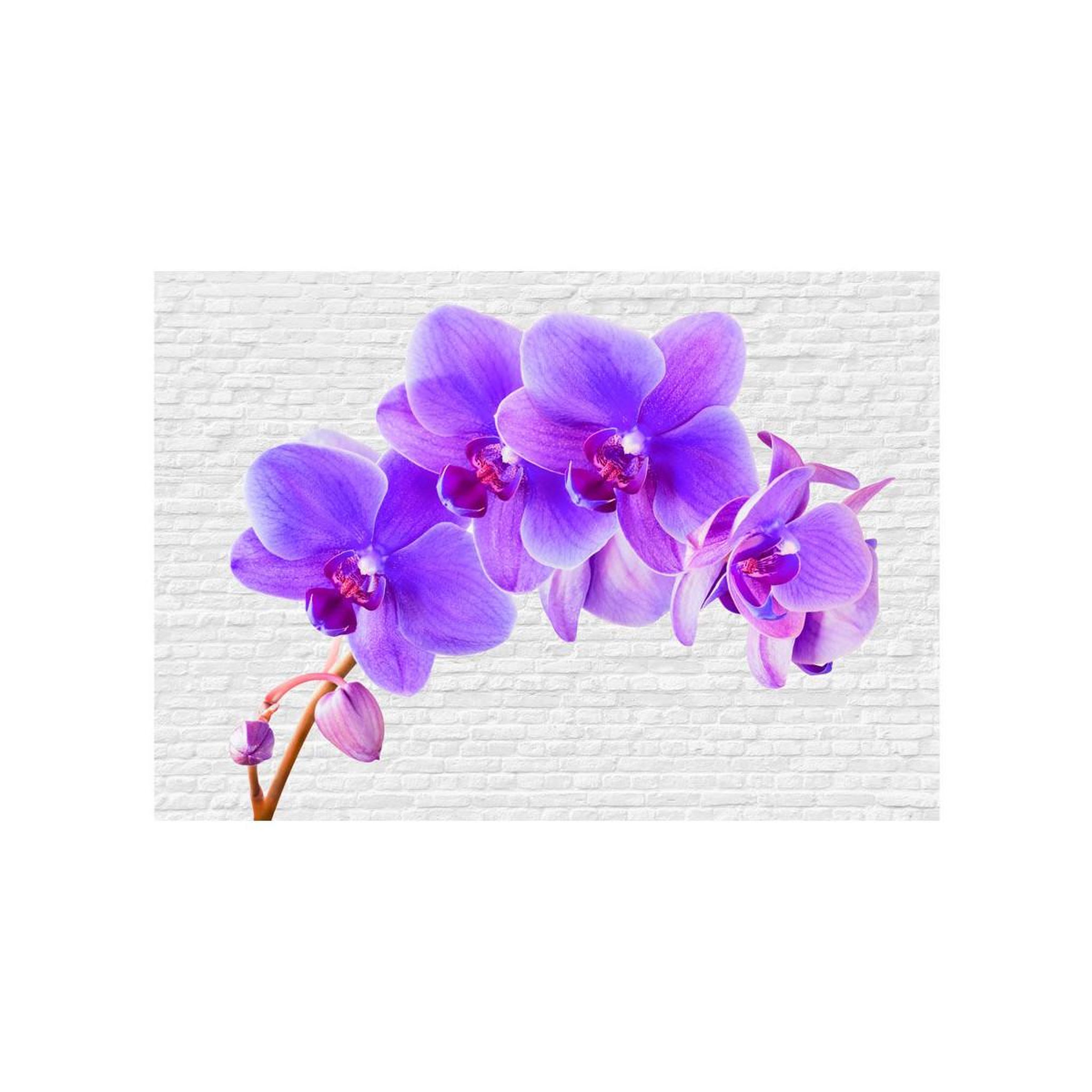 Voir la diapositive 2 : Paris Prix Papier peint  violet excitation