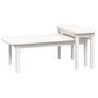 Voir la diapositive 2 : VIDAXL Ensemble de tables basses 2 pcs Blanc Bois massif de pin