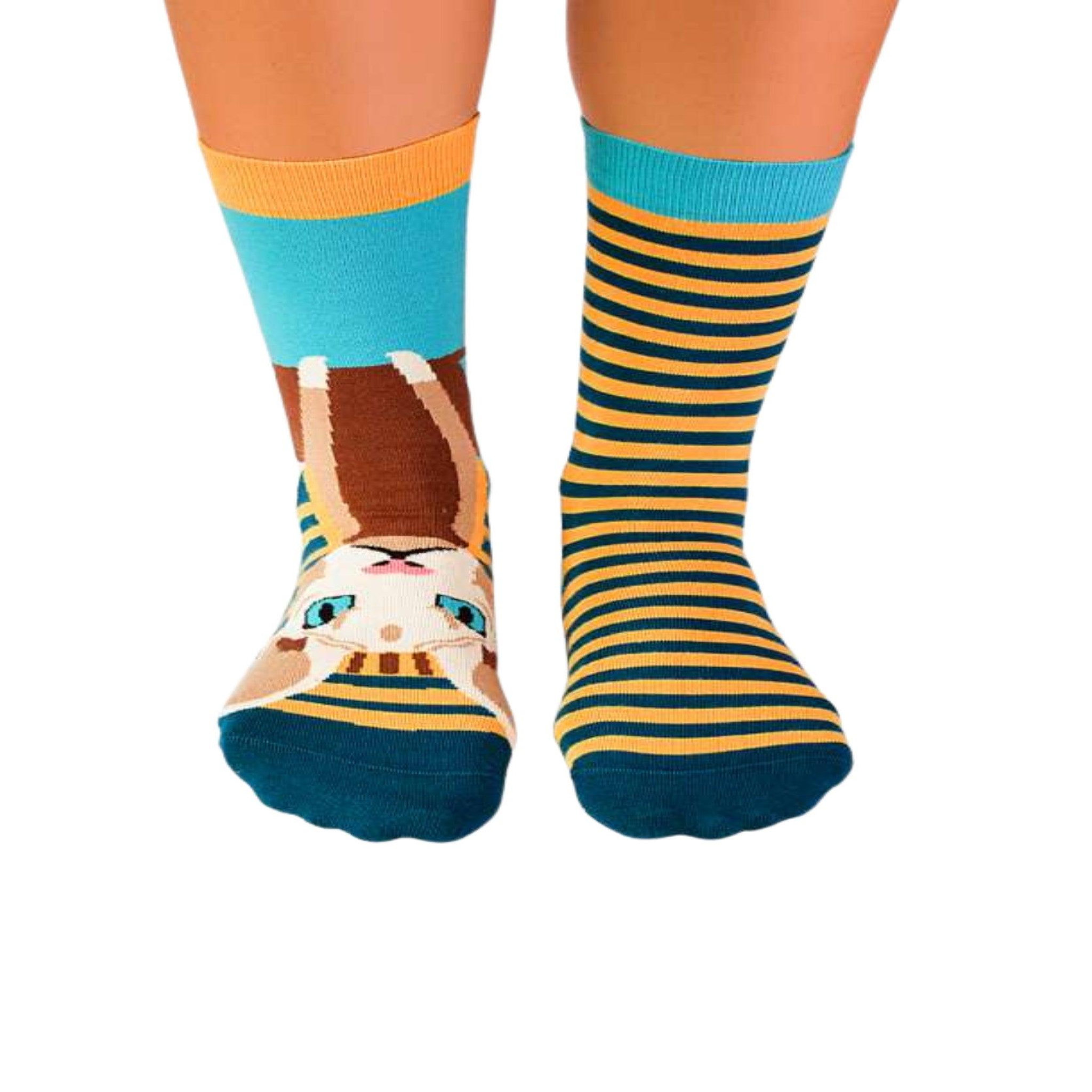Voir la diapositive 5 : PIRIN HILL Coffret de 4 paires de chaussettes arty chats
