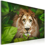 Voir la diapositive 1 : Paris Prix Tableau Imprimé  Eyes of the Jungle