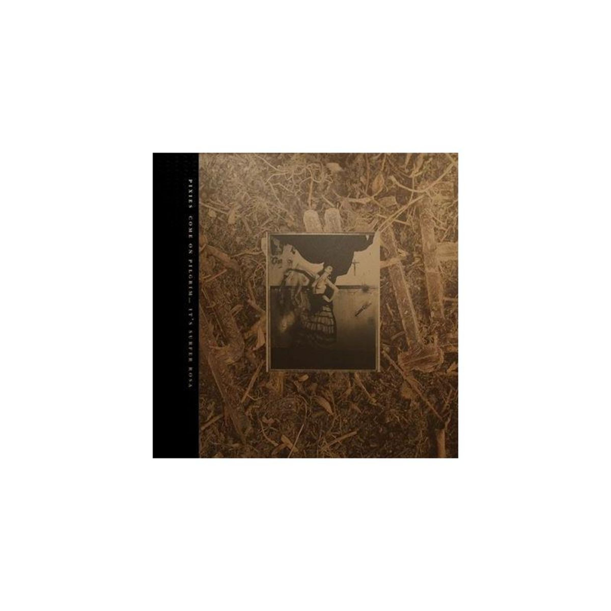 Come On Pilgrim... It's Surfer Rosa