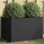 Voir la diapositive 1 : VIDAXL Jardiniere noir 62x40x39 cm acier