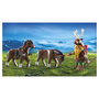Voir la diapositive 2 : PLAYMOBIL 9341 - Knights - Char de combat, baliste et nains