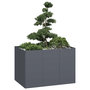Voir la diapositive 1 : VIDAXL Jardiniere anthracite 120x80x80 cm acier