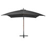 Voir la diapositive 2 : VIDAXL Parasol de jardin suspendu avec mat Anthracite bois de sapin