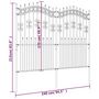 Voir la diapositive 6 : VIDAXL Cloture de jardin avec sommet de lance Noir 222 cm