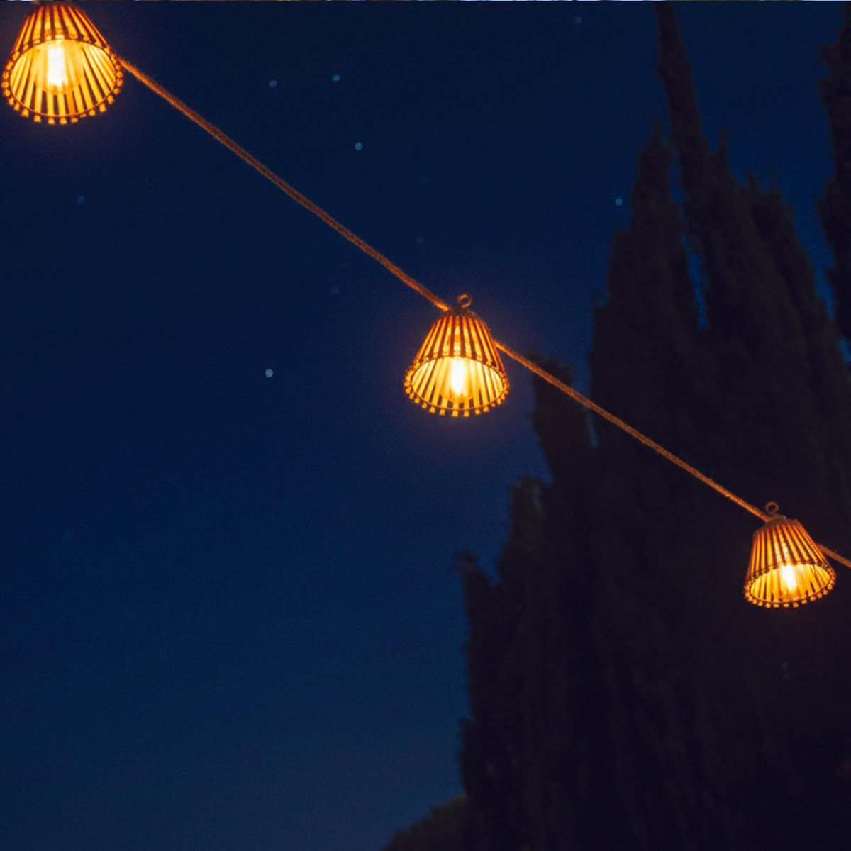 Lumisky Guirlande lumineuse extérieur NATURA Bois Bambou 8M