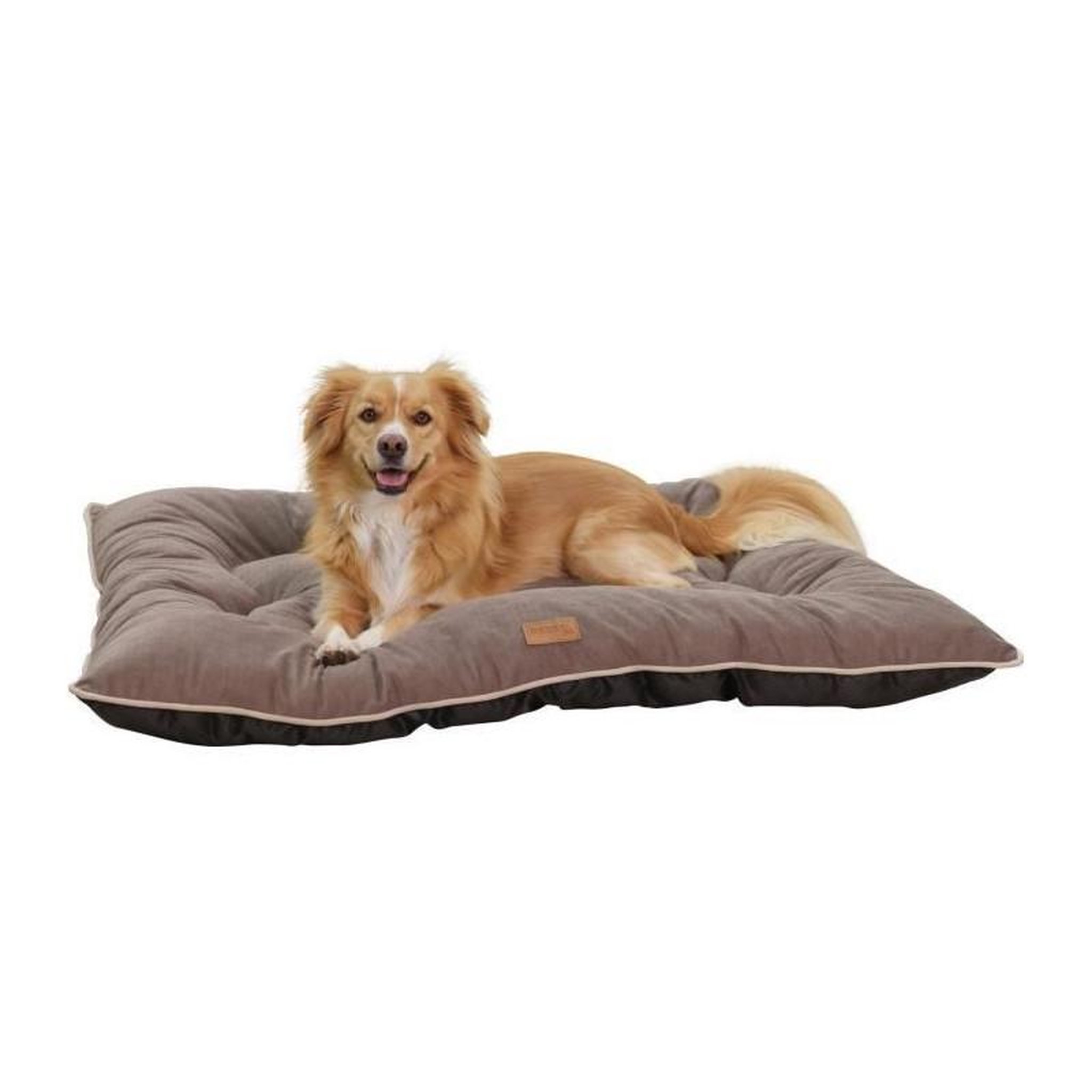 Voir la diapositive 2 : KERBL Coussin - KERBL - Benno - Marron - 100 x 75 cm