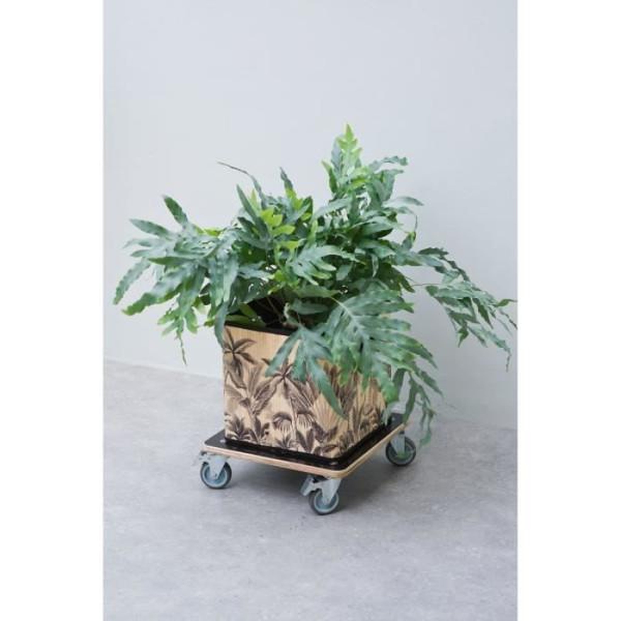 Voir la diapositive 3 : NATURE Tablette a roulettes pour plantes - NATURE - Chariot a plantes carré - Bois noir - 38x38 cm - Charge 250 kg