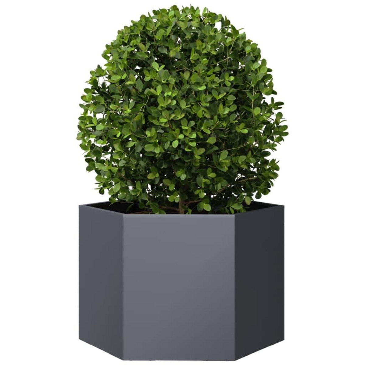 VIDAXL Jardiniere anthracite hexagone 69x60x45 cm acier