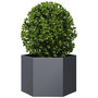 Voir la diapositive 3 : VIDAXL Jardiniere anthracite hexagone 69x60x45 cm acier