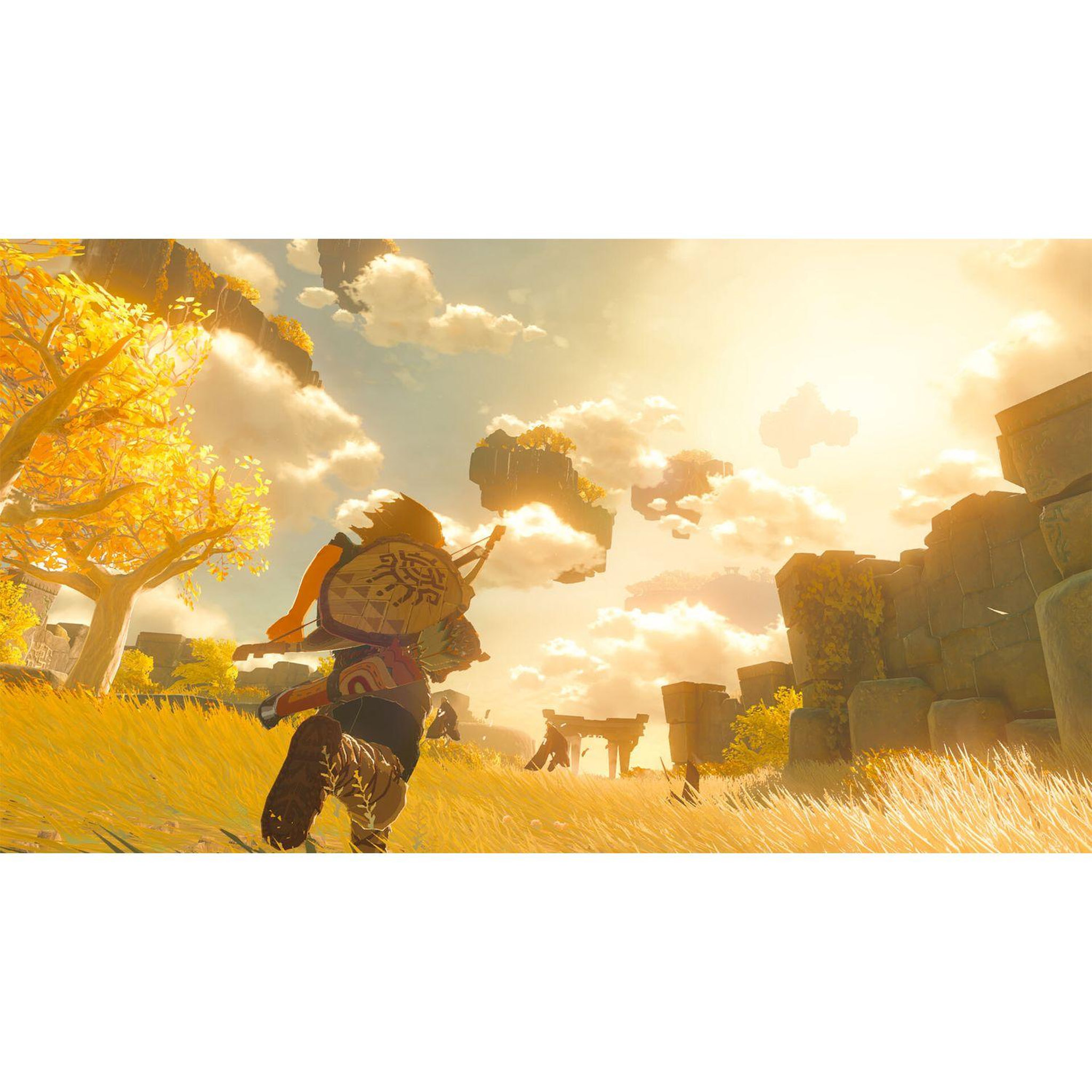 Voir la diapositive 5 : NINTENDO Legend of Zelda : Tears of Kingdom Collector Nintendo Switch