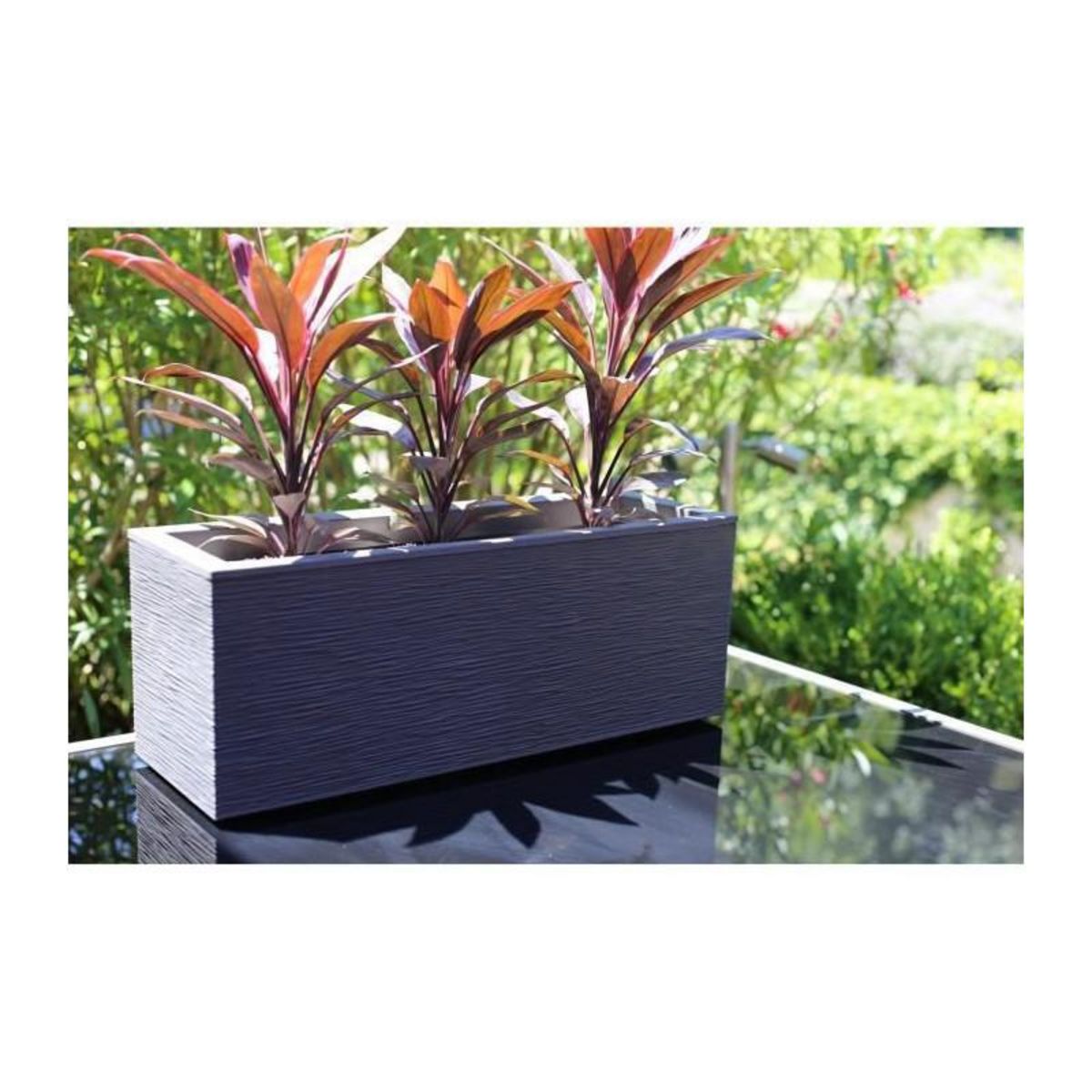 Eda Balconnière rectangulaire Graphit Up 59 x 19,5 x 22,8 cm - 25 L - Gris anthracite - Eda