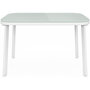 Voir la diapositive 4 : ID MARKET Salon de jardin bas TOLEDE 4 places avec canapé, fauteuils et table blanc et beige