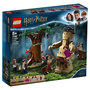 Voir la diapositive 1 : LEGO Harry Potter 75967 - La Forêt interdite 
