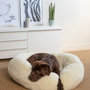 Voir la diapositive 3 : Paris Prix Coussin pour Chien & Chat  Fluffy  95cm Écru