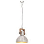 Voir la diapositive 3 : VIDAXL Lampe suspendue industrielle 25 W Argente Rond 30 cm E27