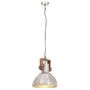 Voir la diapositive 3 : VIDAXL Lampe suspendue industrielle 25 W Argente Rond 30 cm E27