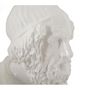 Voir la diapositive 5 : Paris Prix Buste Homme en Résine  Sage  25cm Blanc