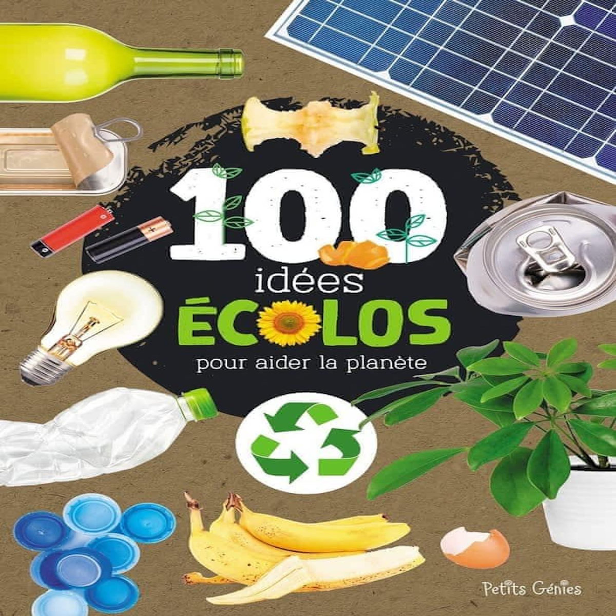 100 IDEES ECOLOS POUR AIDER LA PLANETE, Ménard Valérie