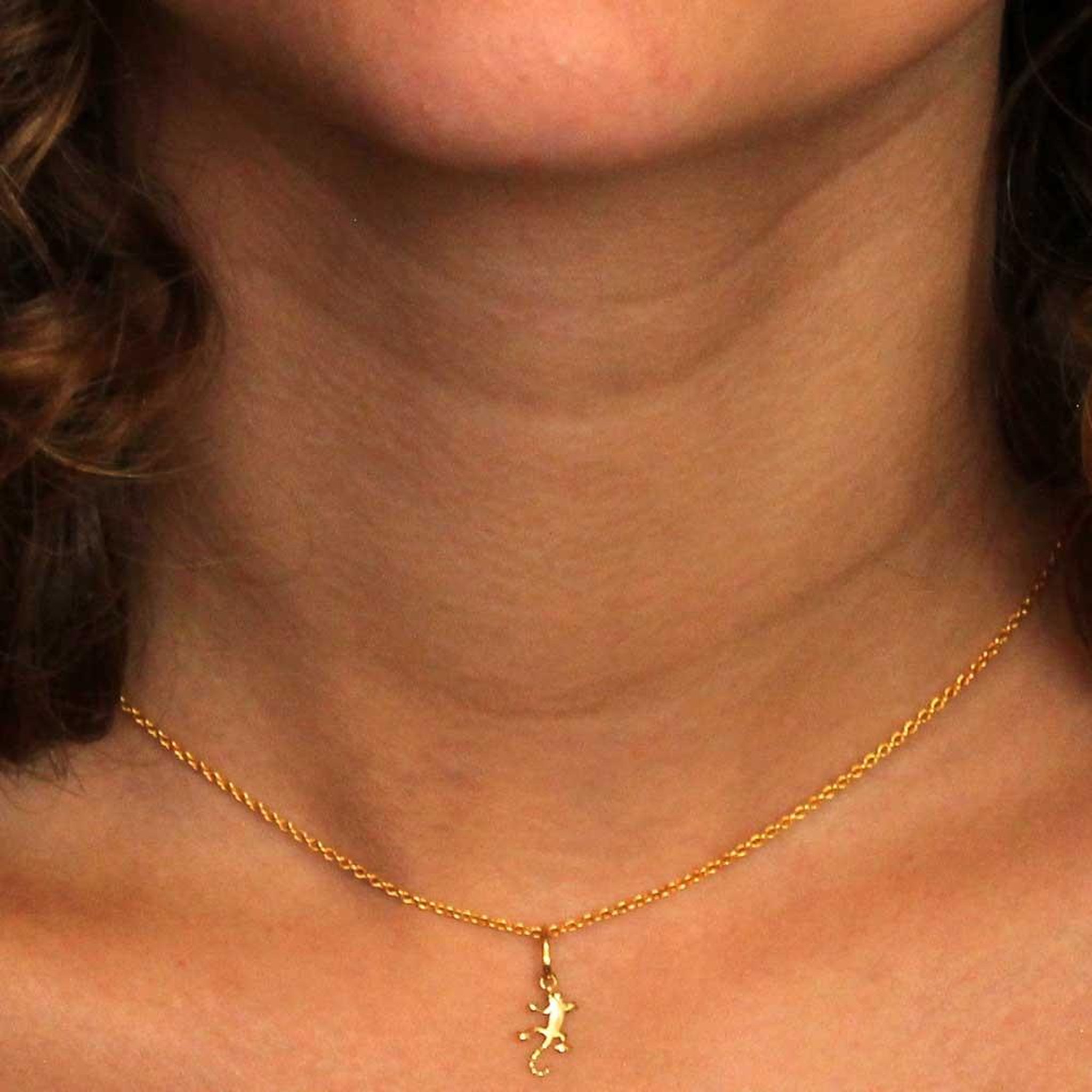 Voir la diapositive 2 : L'ATELIER D'AZUR Collier - Pendentif Or Jaune Salamandre - Chaine Dorée