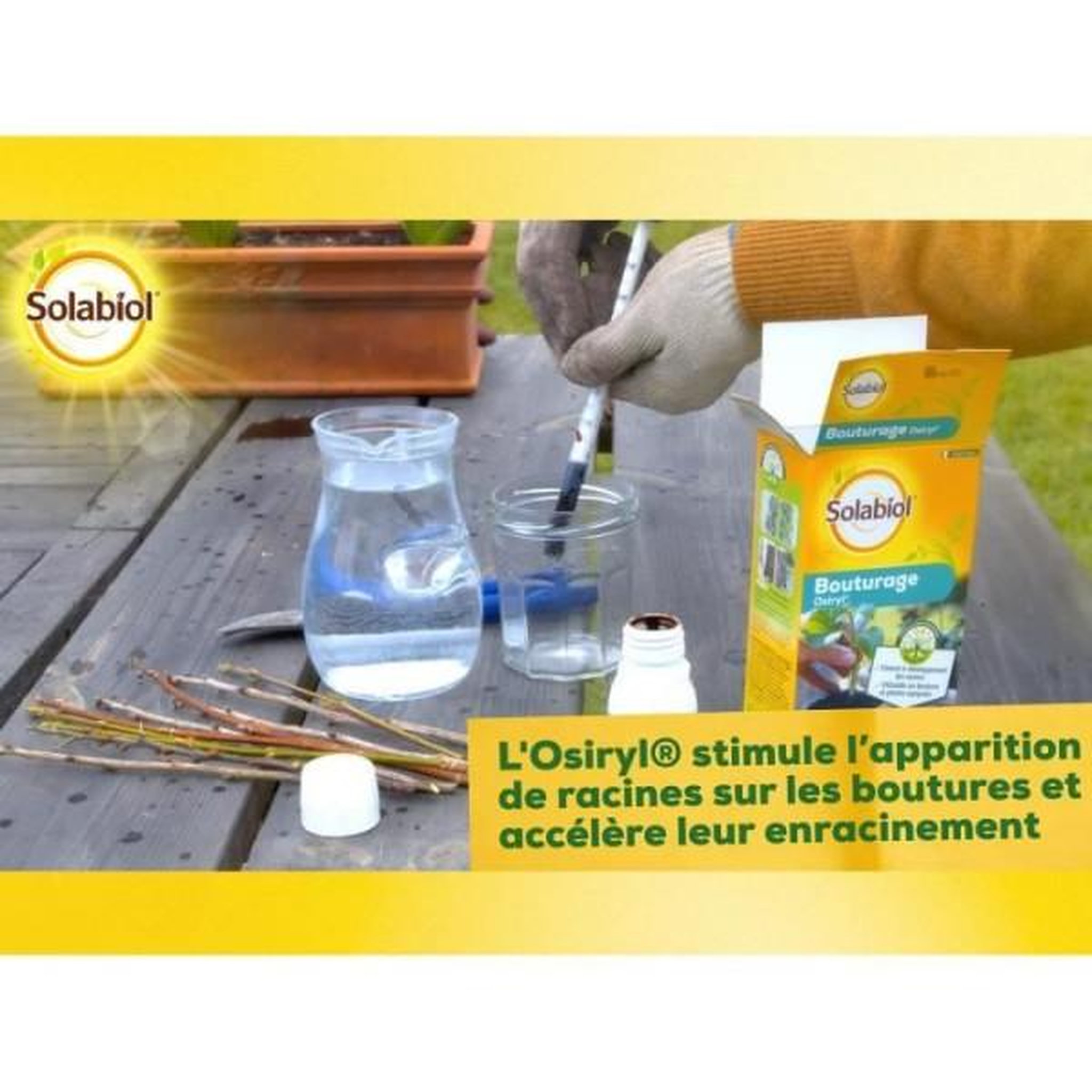 Voir la diapositive 5 : SOLABIOL SOLABIOL SOBOUTU40 Bouturage Osiryl - 40 ml